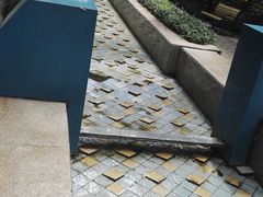 -苏州河梦清园环保主题公园