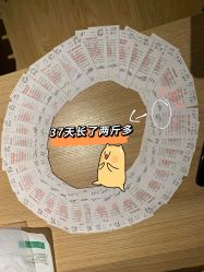 -喜喜月子会所(中酒馆)