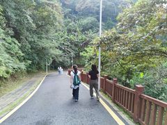 -黄埔油麻山森林公园
