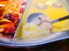 花胶鸡汤锅底-湊湊火锅·茶憩(新中关购物中心店)