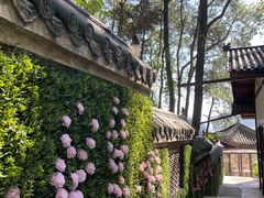 -巴倒烫陆派火锅山庄(南山总店)