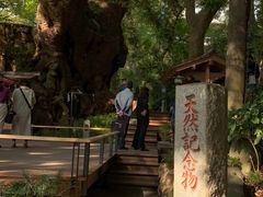 -来宫神社