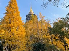 -红梅公园