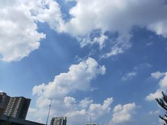 -汴梁徐先生厚切炒酸奶