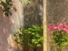 -Laures·月桂西班牙碳烤餐厅(十尚坊店)