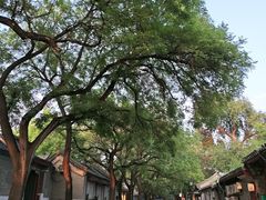 -北京国子监胡同