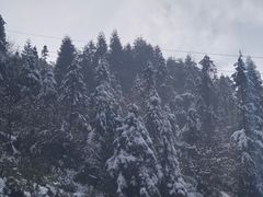 -宝鼎风景区