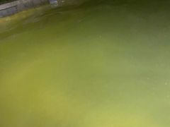 -东山湖温泉度假村