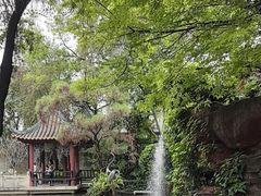 -碧江金楼