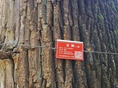 -北京上方山国家森林公园