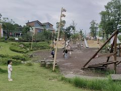 -铁山坪森林公园