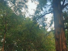 -苏州河梦清园环保主题公园