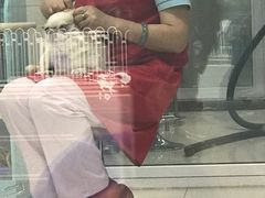 美容室-北京观赏动物医院·24小时大型综合·猫专科·异宠专科