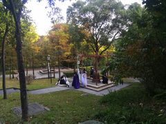 -深圳国际园林花卉博览园