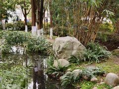 -成都市活水公园