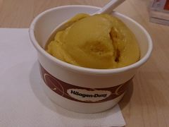 -哈根达斯(国瑞店)
