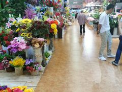 -大自然花鸟鱼虫市场