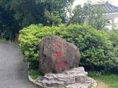 -梧桐山风景名胜区