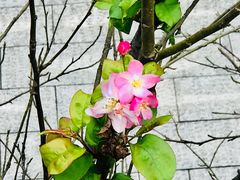 -屈原故里文化旅游区