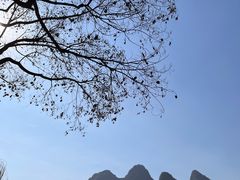 -村上春树