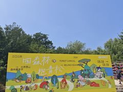 -北京西山国家森林公园