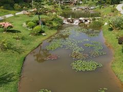 -东莞植物园