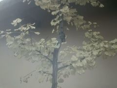 -什邡罗汉寺