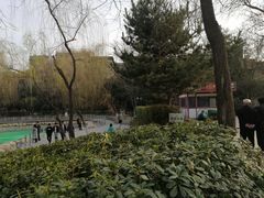 -莲湖公园