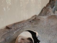 -宁波野生动物园