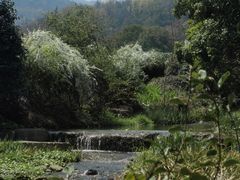 -中国茶叶博物馆(双峰馆区)