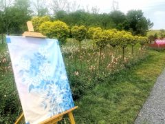 -佛手湖郊野公园