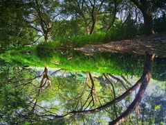 景点-人民公园(罗湖区)