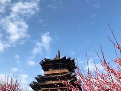 -杭州半山国家森林公园