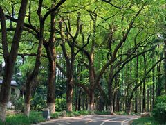 -采石矶景区