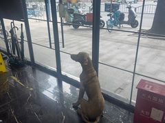 -宠颐生斯嘉宠物医院·急重症·心内科(谷阳北路分院)