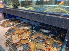 -小厨师·二十年沈家门小海鲜(百井坊巷店)