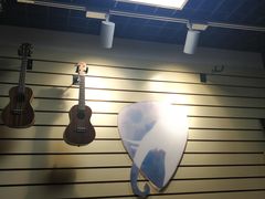 -大象音乐·吉他·架子鼓·声乐(双井店)
