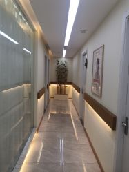 -颜和骨正·明哲式骨相美学整骨