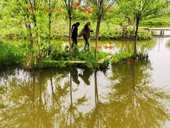 -同銮特种养殖场·龙虾垂钓