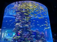 -海合安武汉极地海洋公园