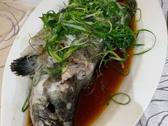 -東海薈。拉斐特(青衣城店)