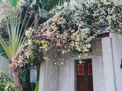 -深圳国际园林花卉博览园