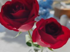 -桃花江餐厅·江景-约会·聚会