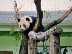 -南昌动物园