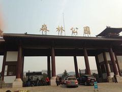 -青龙山国家森林公园