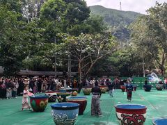 -西双版纳原始森林公园