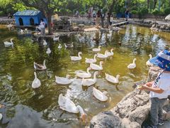 -森林公园(尖草坪区)