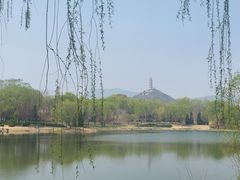 -北坞公园