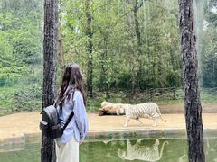 -贵州森林野生动物园