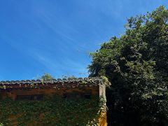 -普陀山慧济禅寺